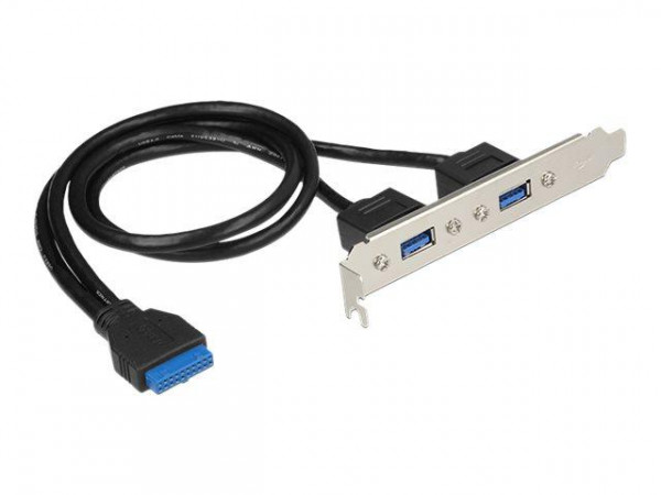 Slotblech Delock 2x USB3.0