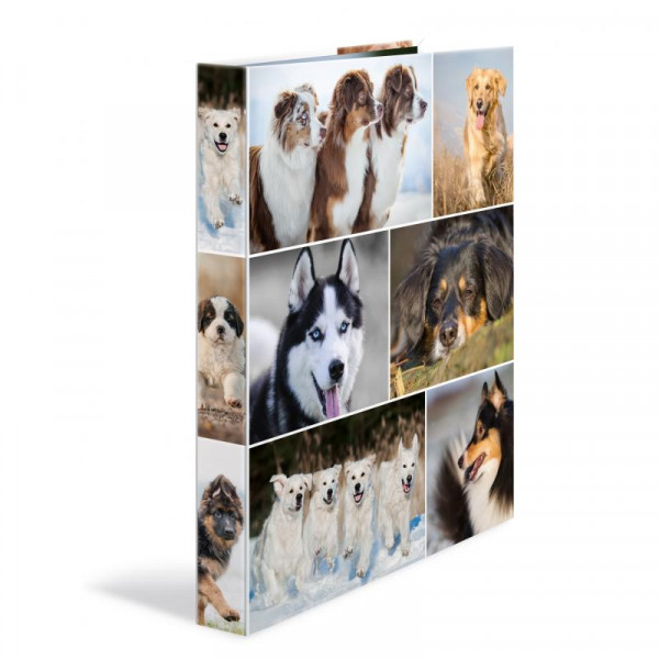 HERMA Ringbuch A4 Hunde 4D
