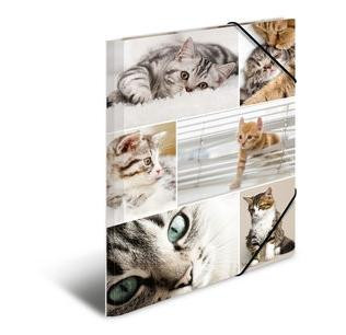 HERMA Sammelmappe A4 Katzen Pappe
