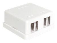 Keystone Delock Leergehäuse 2-Port