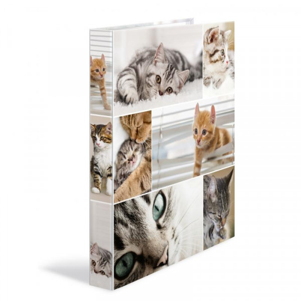 HERMA Ringbuch A4 Katzen 2D