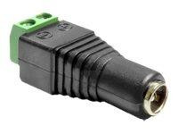 Adapter Delock Terminalblock 2Pin -> DC 2,1 x 5,5mm Buchse