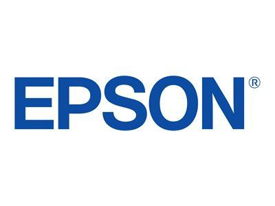Patrone Epson PJIC7(LC) Discproducer PP50/100 light cyan