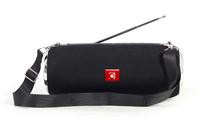 GEMBIRD Tragbare Bluetooth-Lautsprecher mit Antenne schwa