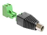 Adapter Delock Terminalblock 2Pin -> DC 2,5 x 5,5mm Bu 2-tei