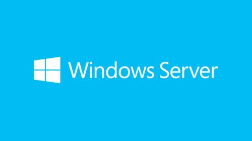 Windows 2019 Standard Server 5-Device CAL dt.