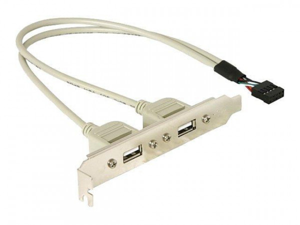 Slotblech Delock 2x USB A