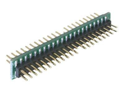 IDE Adapter Delock IDE 44Pin -> IDE 44Pin St/St