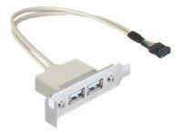 Delock Slot bracket - USB-Kabel - USB (W) bis 9-poliger USB-Header (W)