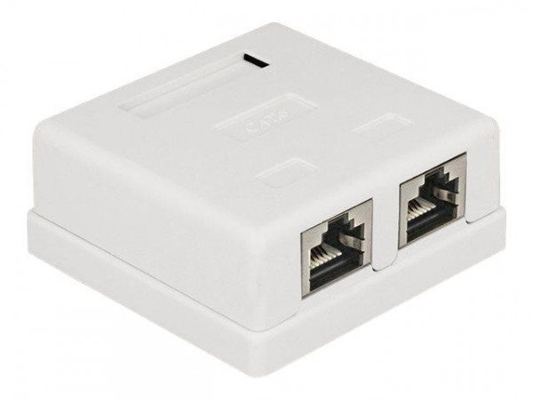Netzwerk Dose Delock 2x RJ45 Buchse Cat6 geschirmt