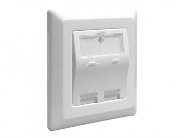 Keystone Delock Anschlussdose 2-Port
