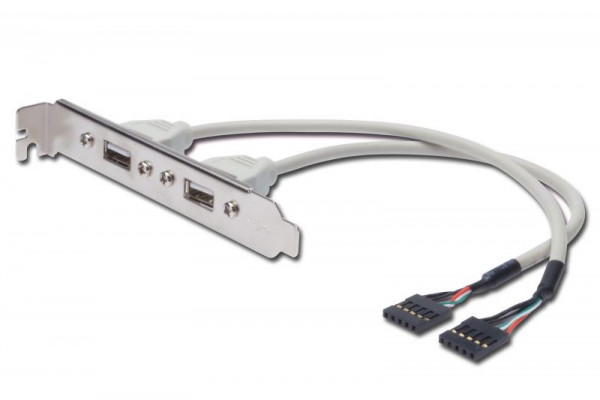 ASSMANN Slotblech 2xUSB/A -> IDC 2x5Pin Bu/Bu 0.25m