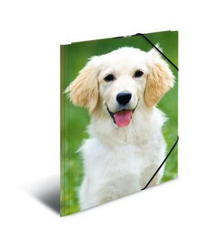 HERMA Sammelmappe A3 Hunde Polypropylen