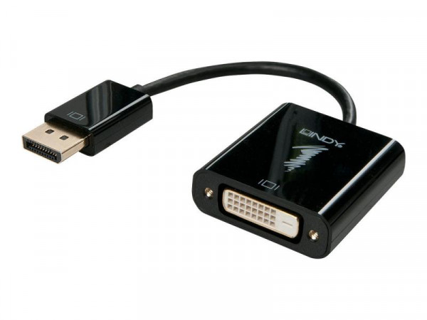 Lindy DisplayPort an DVI-D Adapter 0.17m
