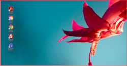 Der Screenshot des Desktops mit fünf Apps. / Der Screenshot des Desktops mit den fünf abgeblendeten App-Symbolen.