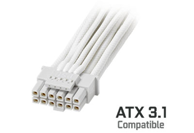 ein 12V-2x6 16-poliges Kabel